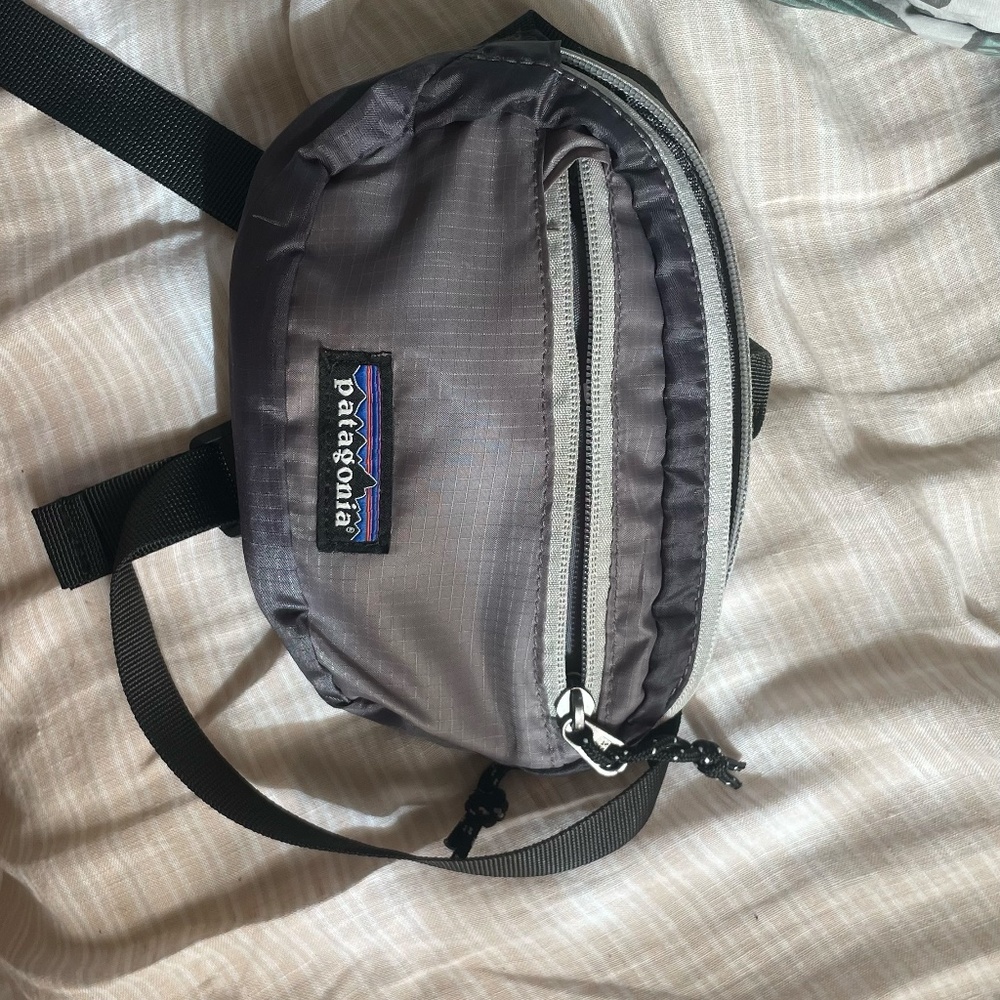 Patagonia mini hip pack